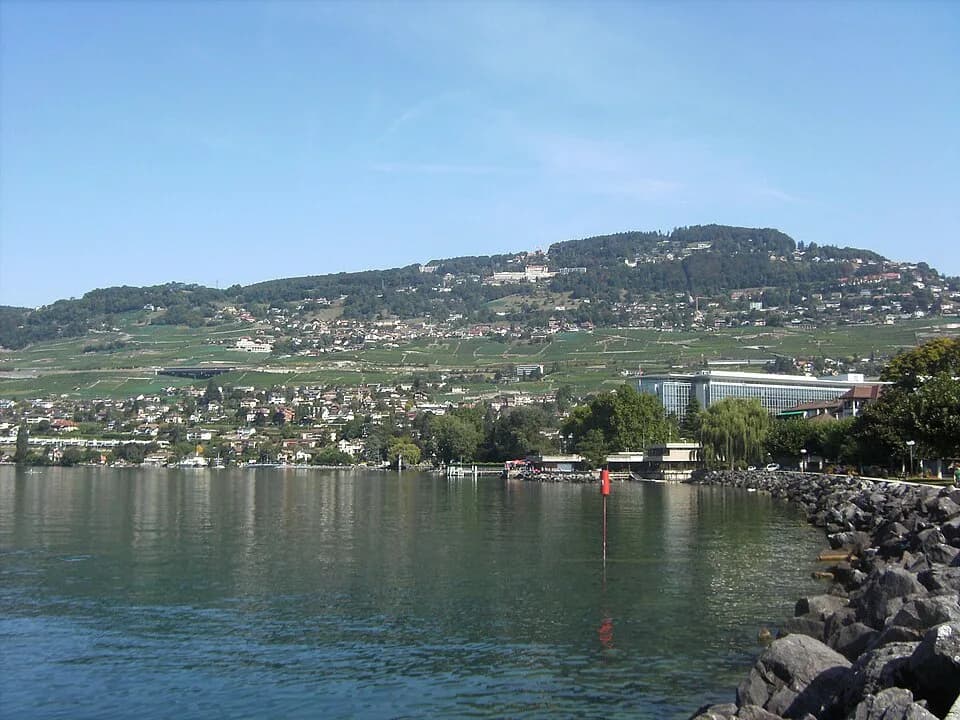 Chardonne