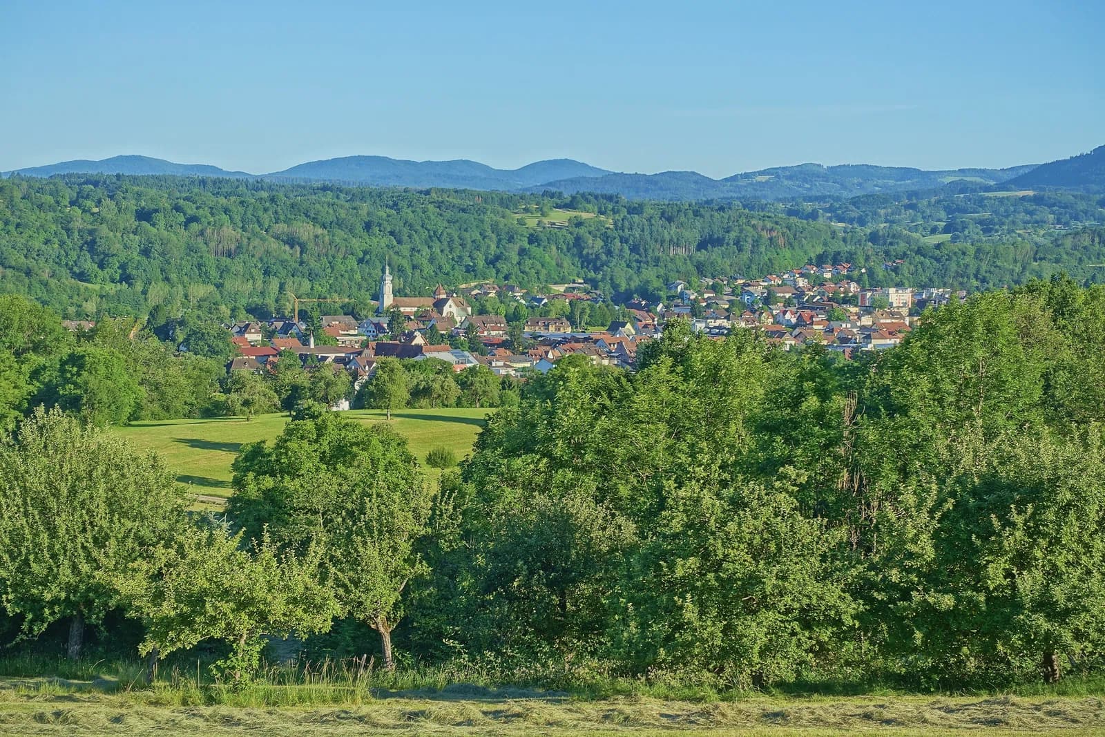 Wehr
