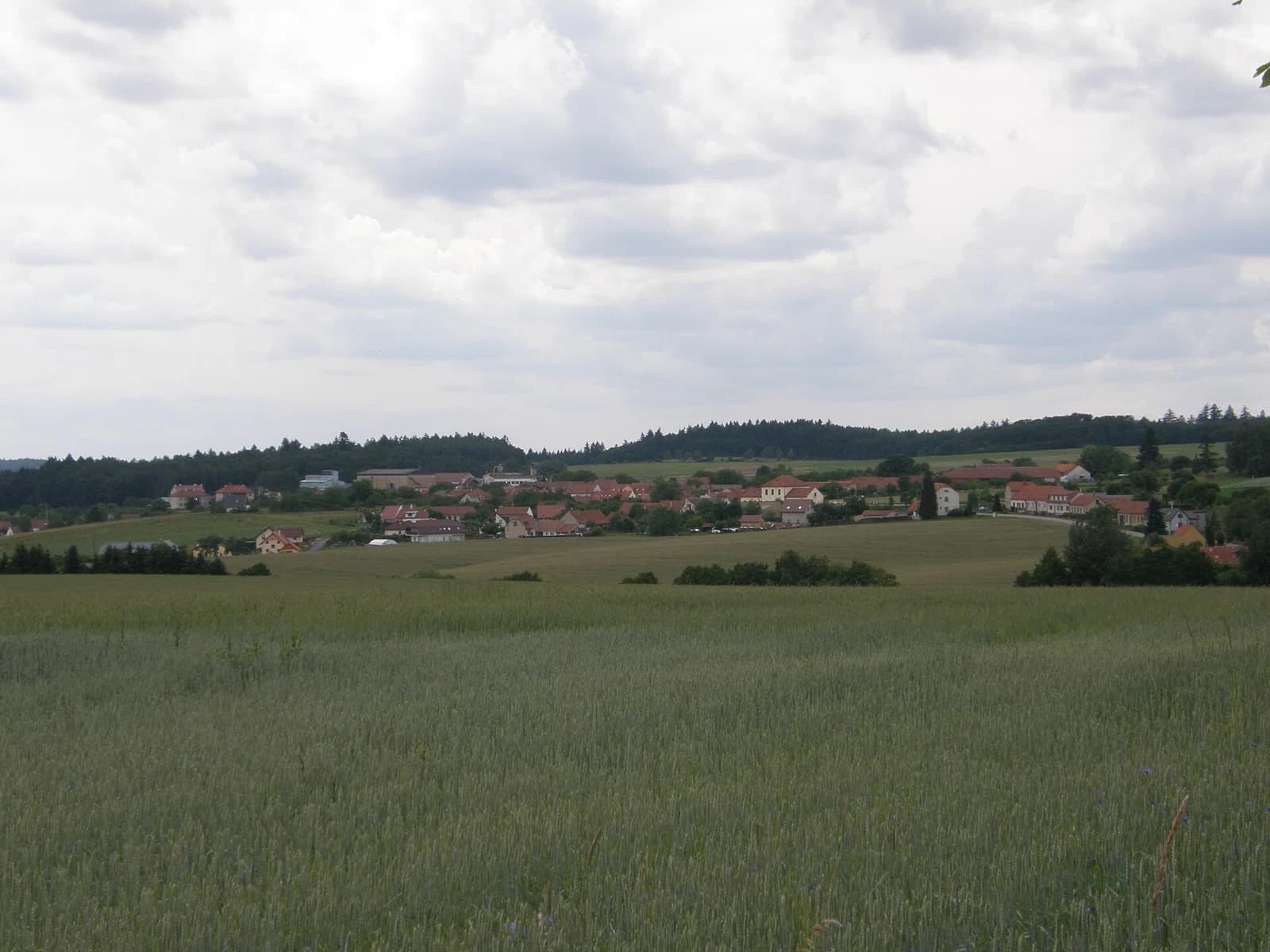 Bukovina u Brna