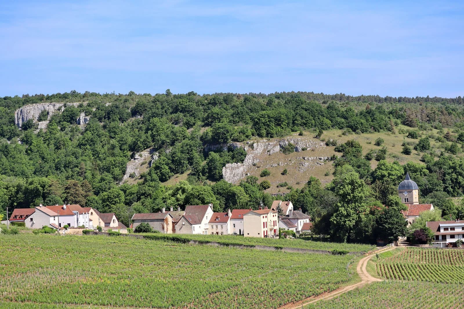 Chambolle-Musigny