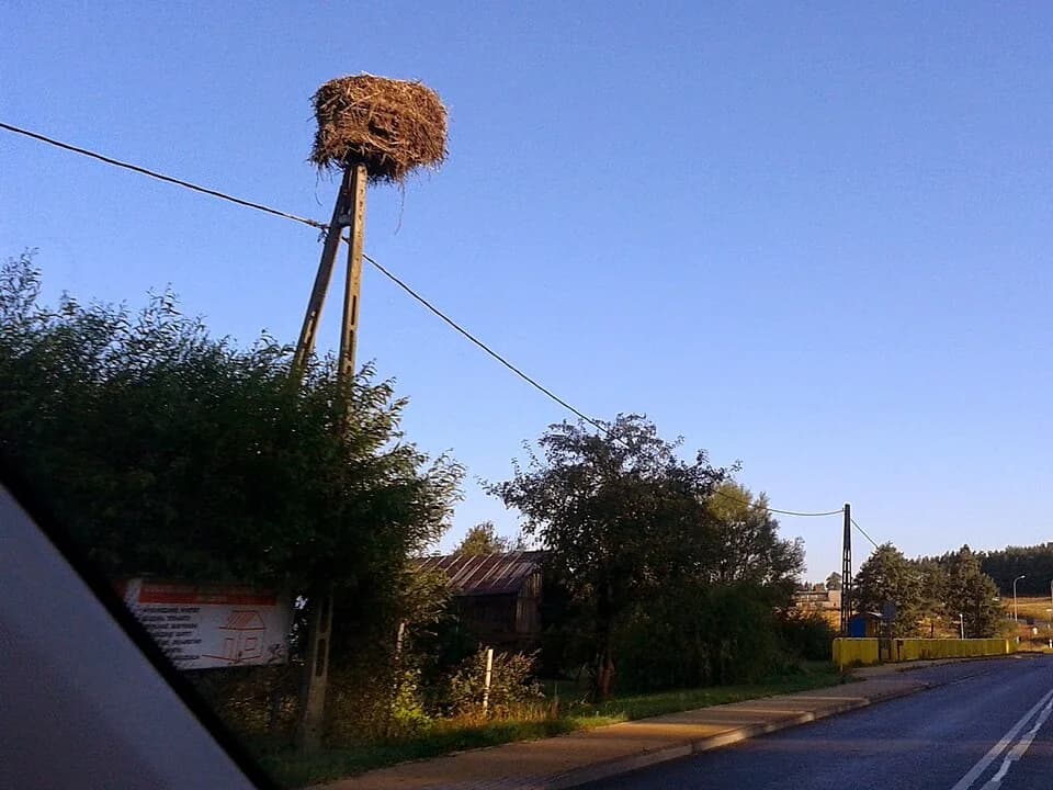 Dobrzewino