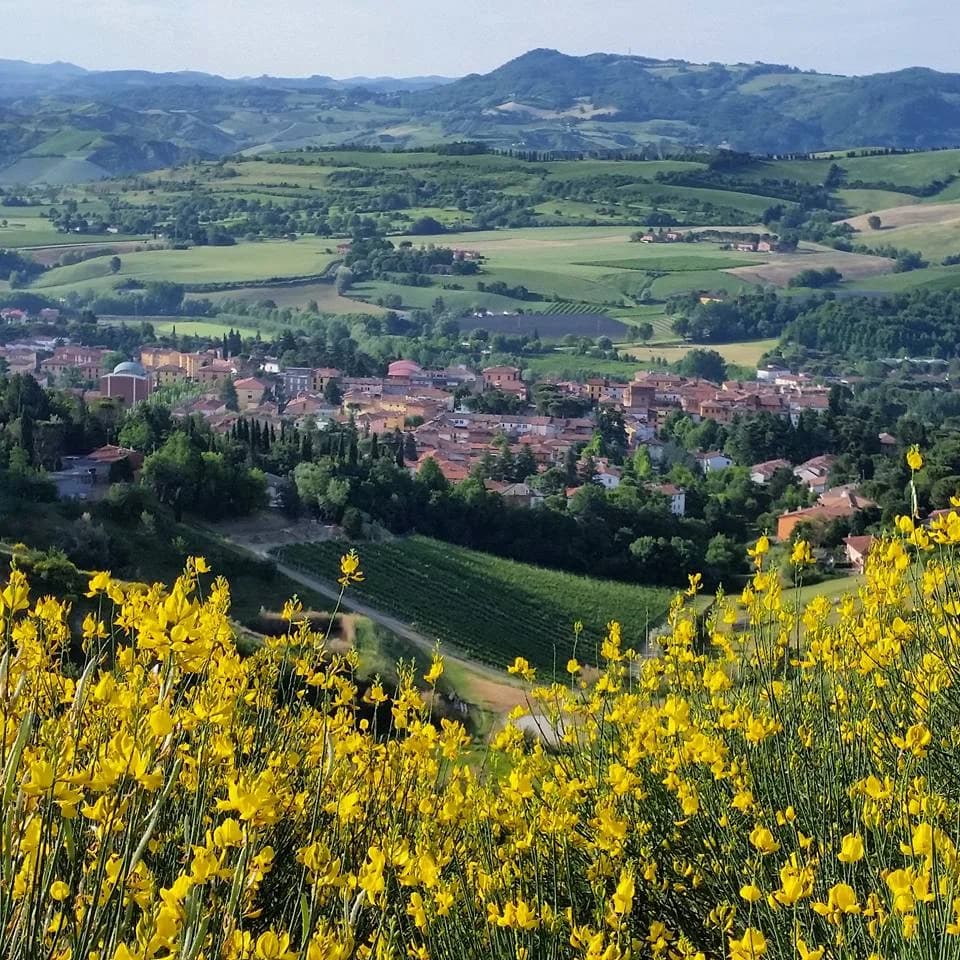 Riolo Terme