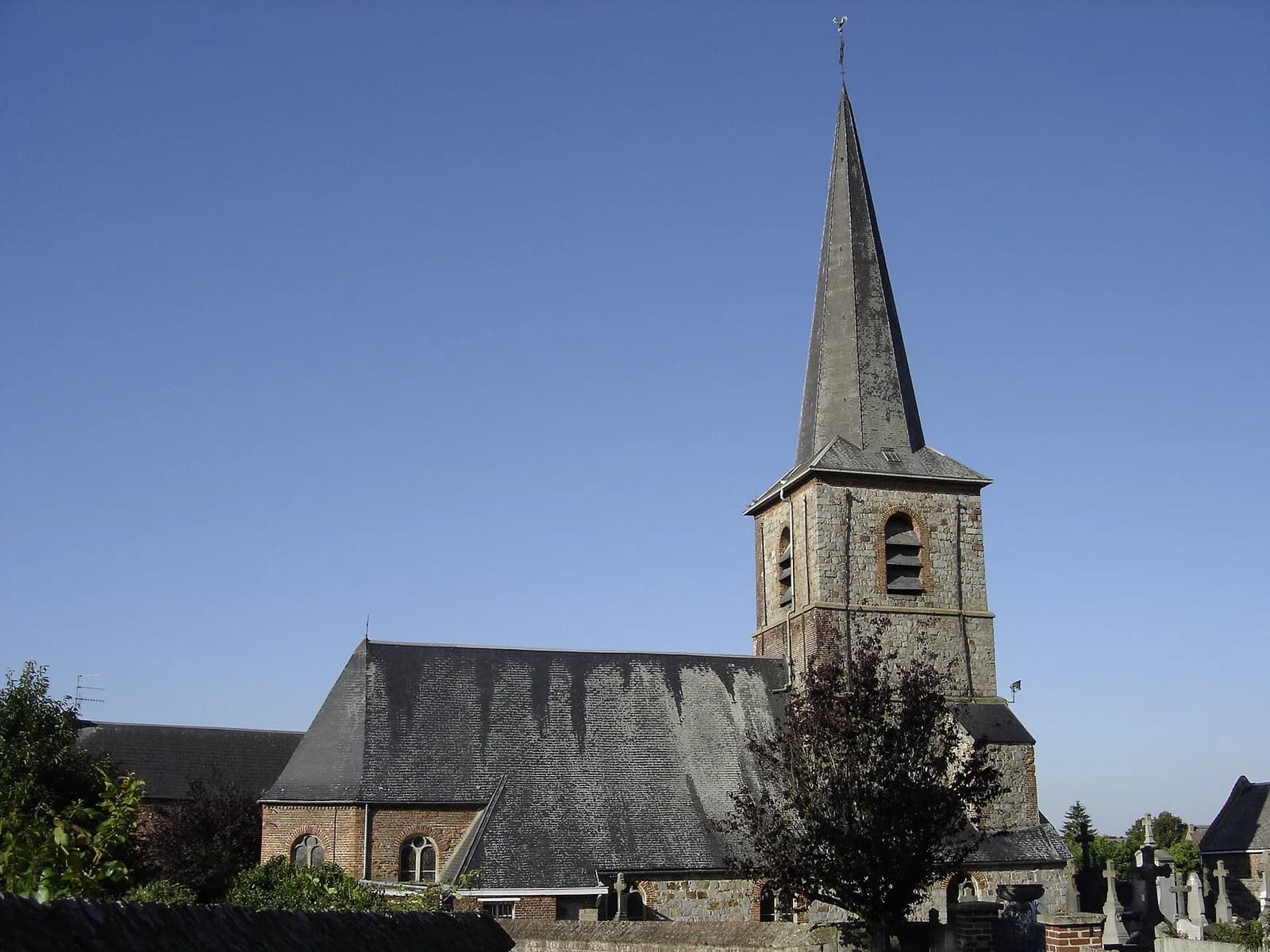 Salesches