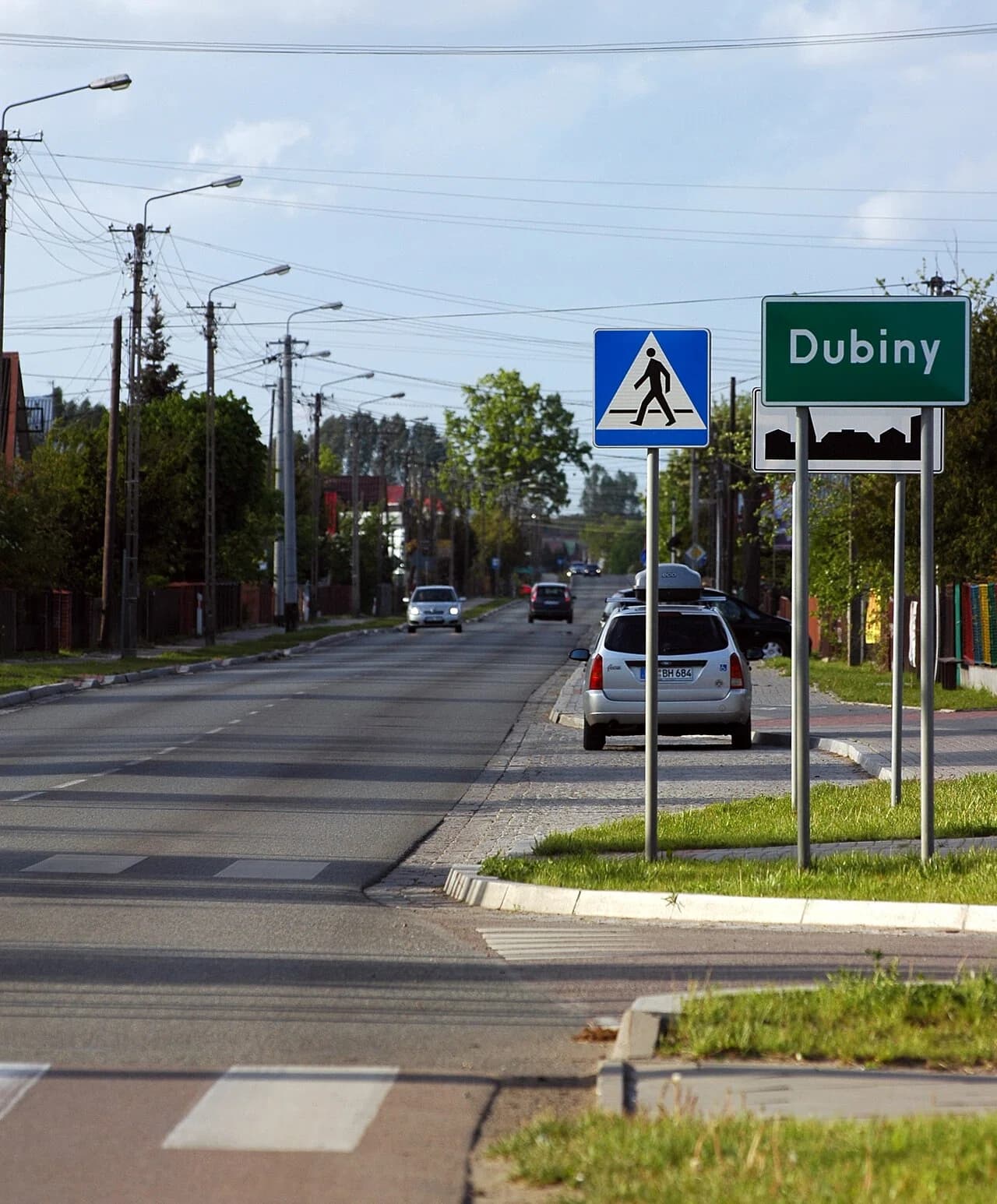 Dubiny