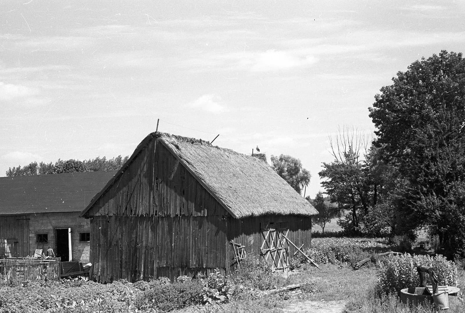 Duszniki