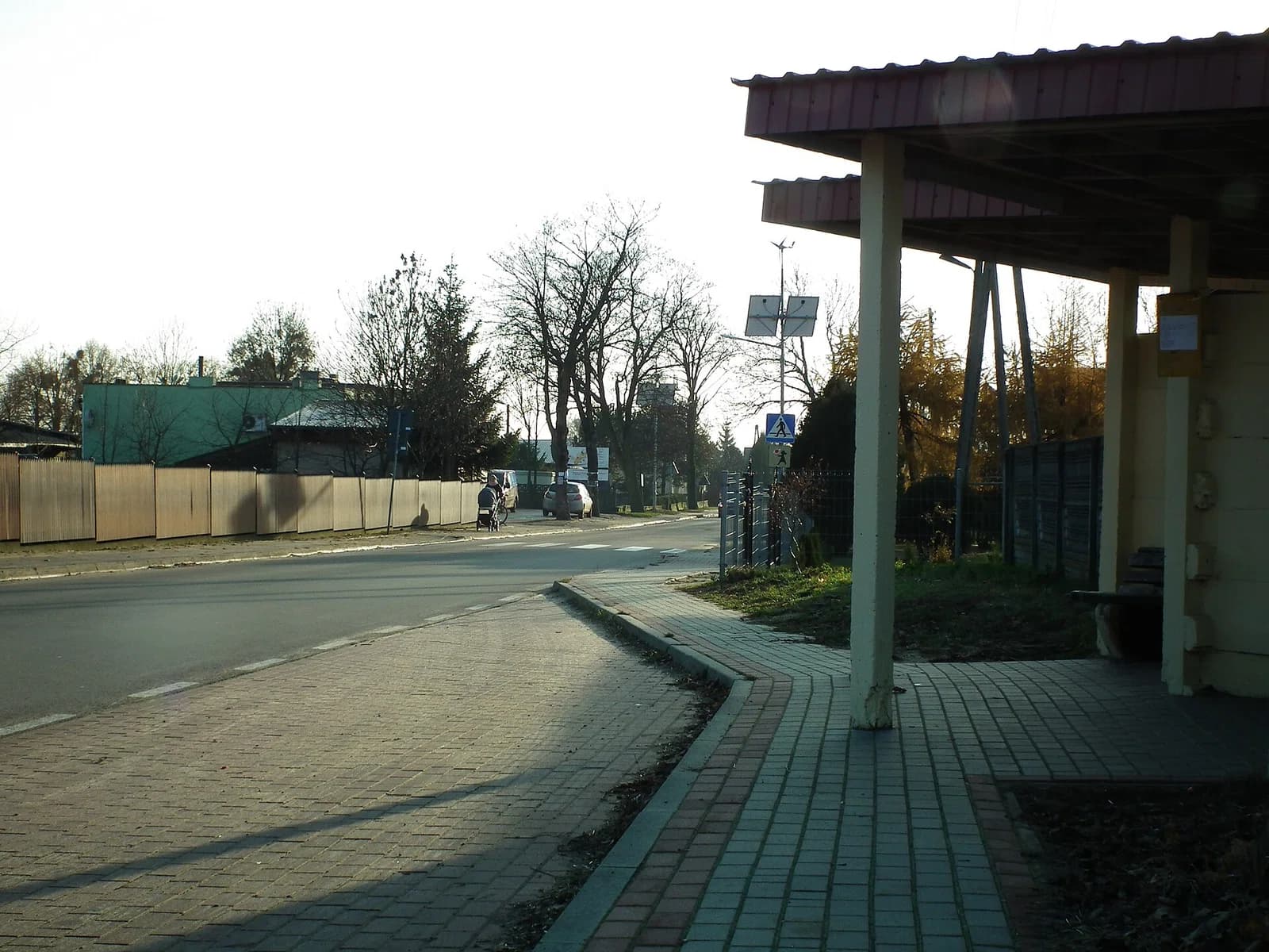 Dzierzbin