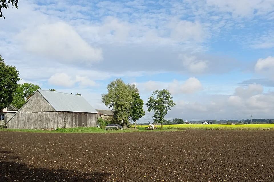 Dzierzno