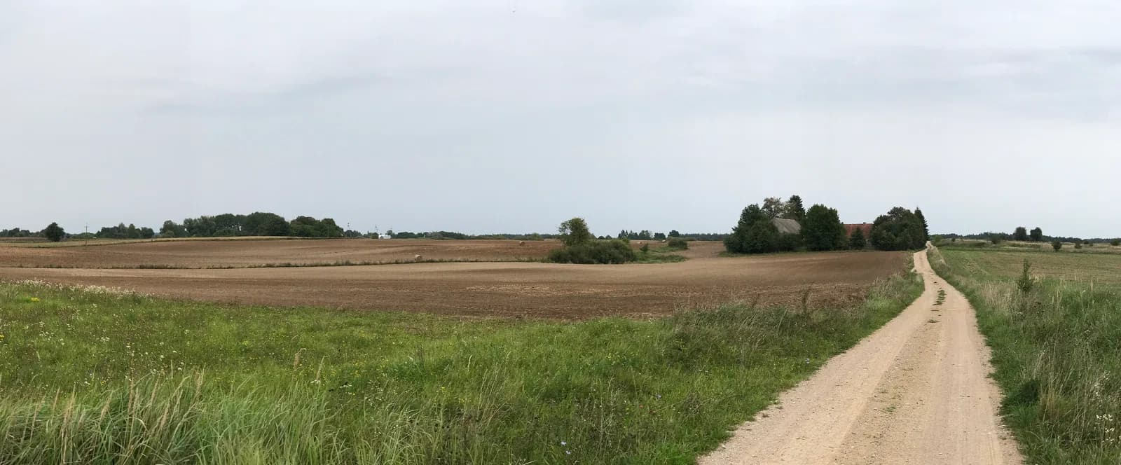 Dziubiele