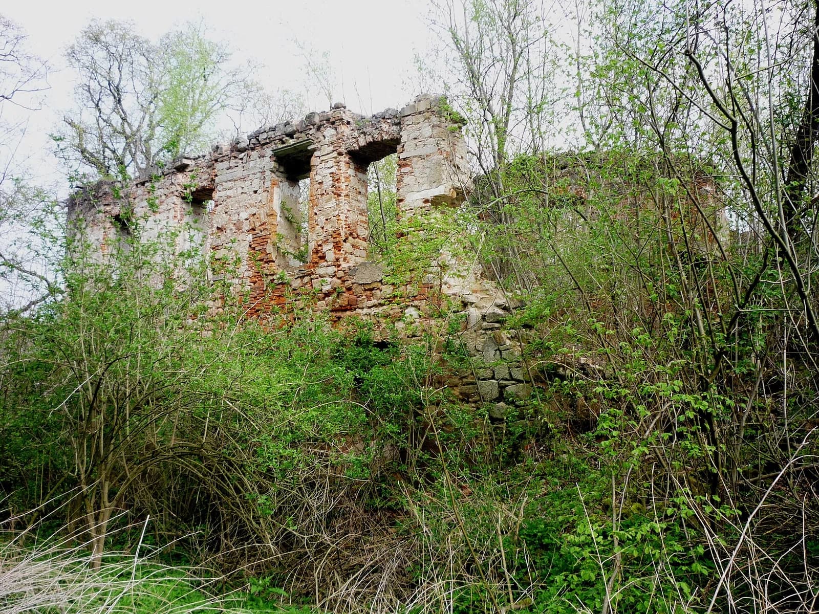 Dębowy Gaj