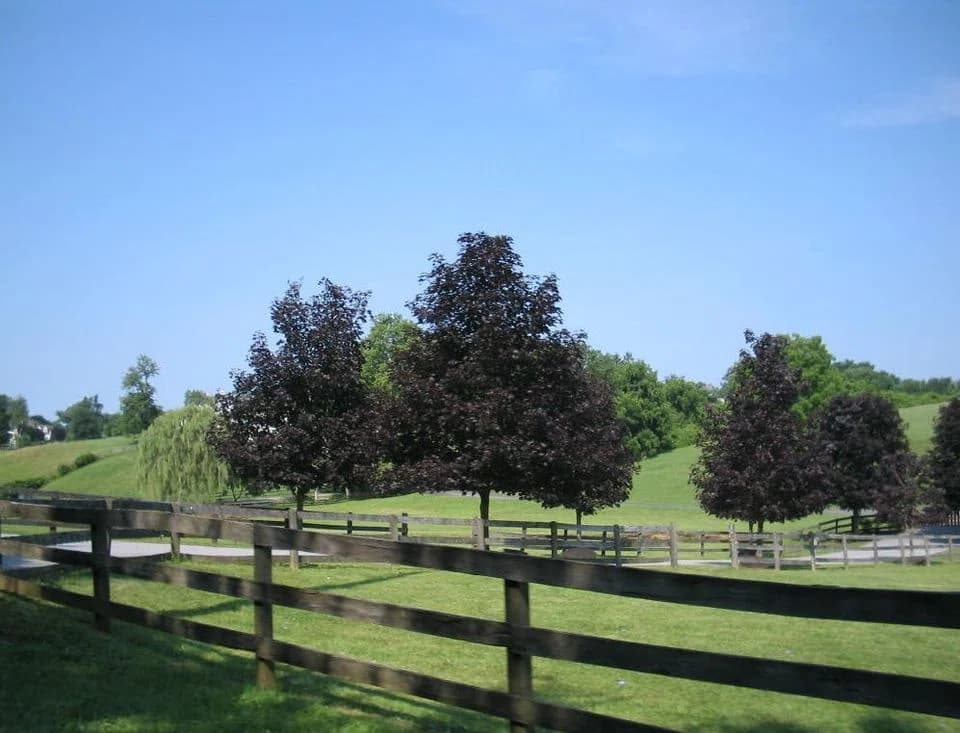 East Bradford Township