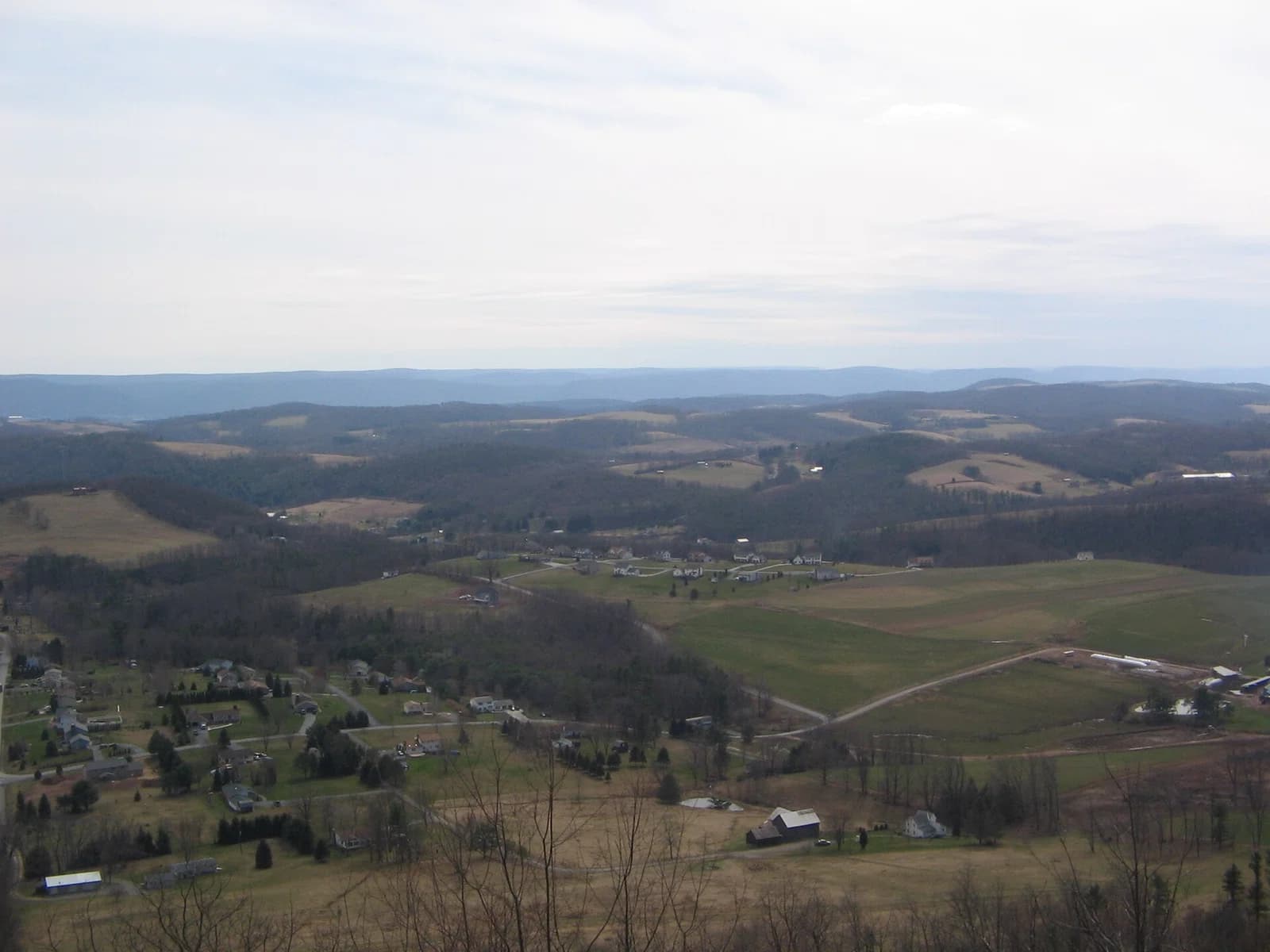 Eldred Township