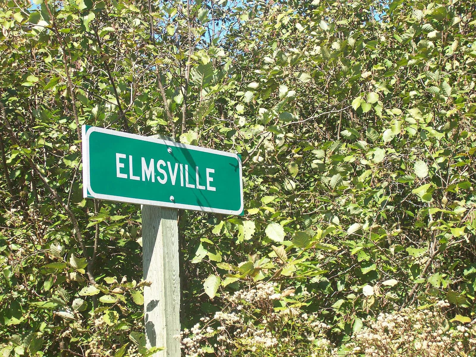 Elmsville