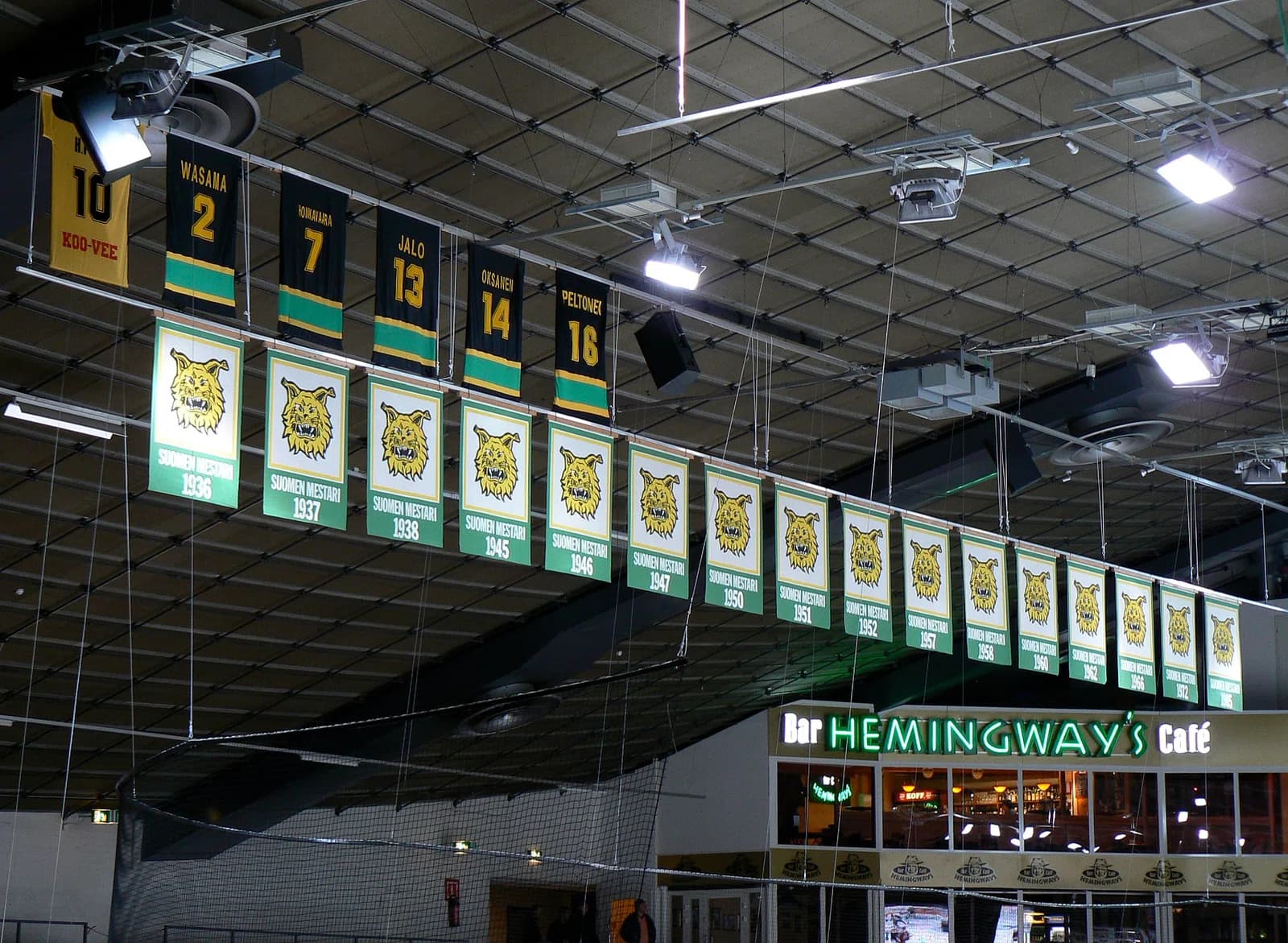 Ilves