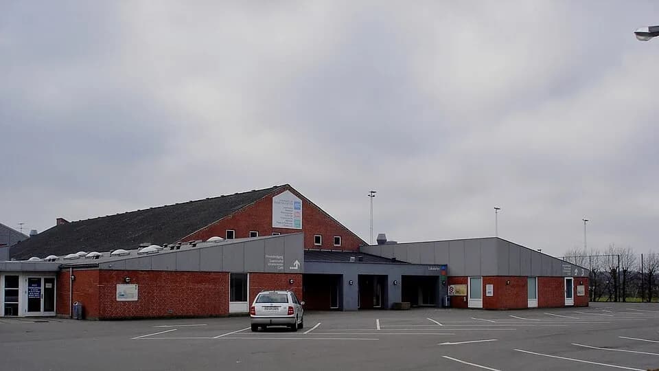 Hornsyld