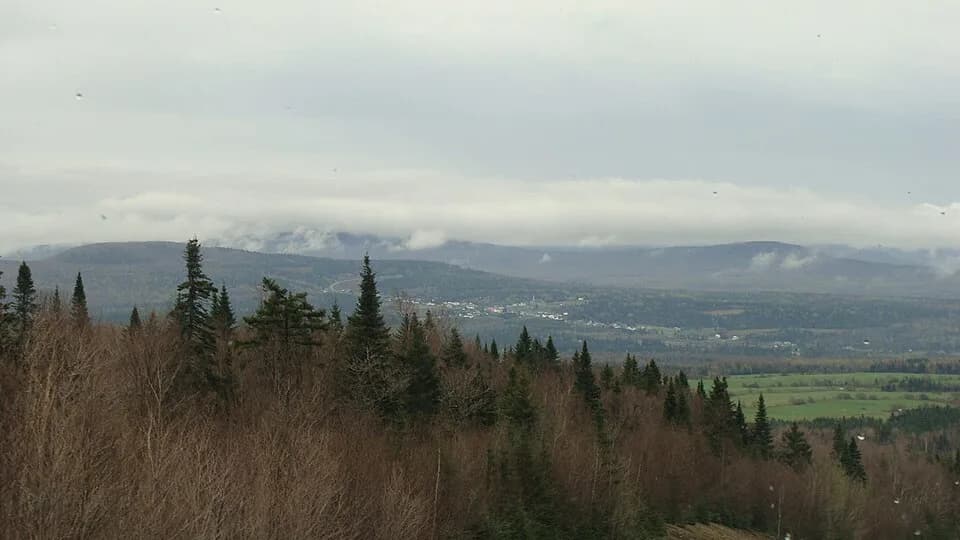 Notre-Dame-des-Bois