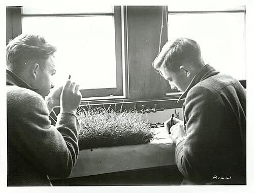 Feilding High School