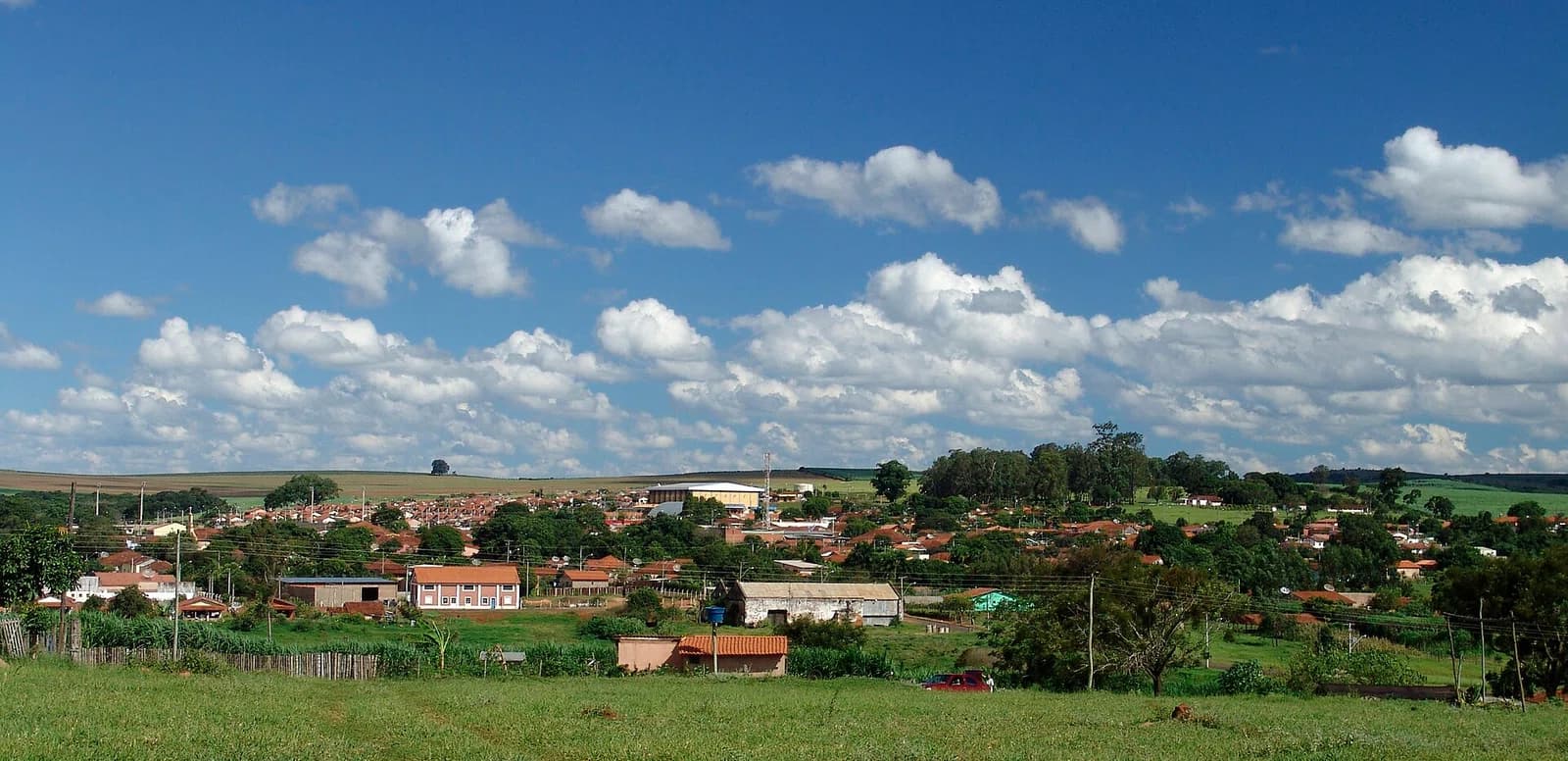 Borebi