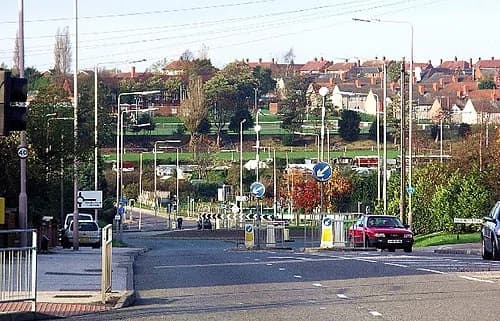 Forest Town