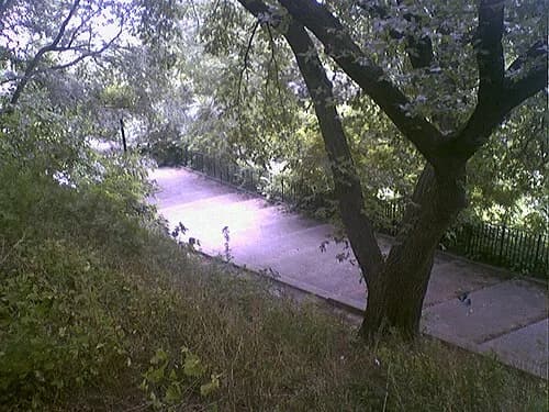 Fort Hamilton