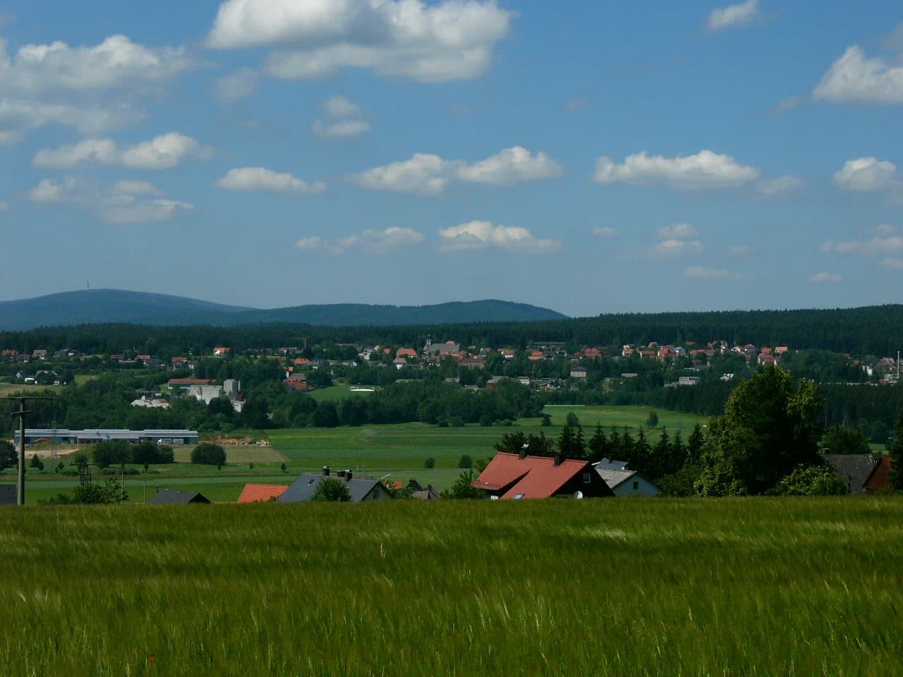 Neusorg