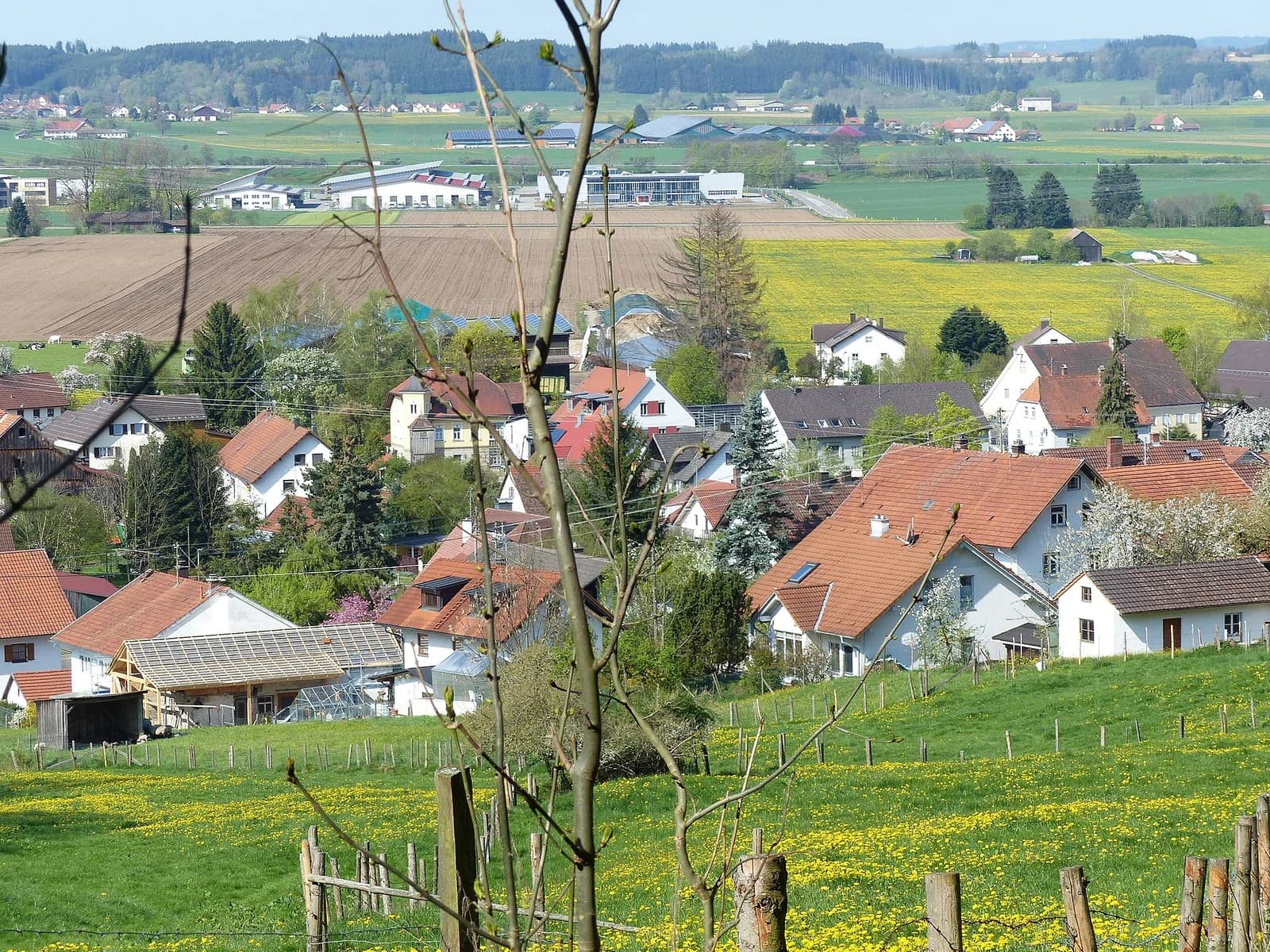 Wolfertschwenden