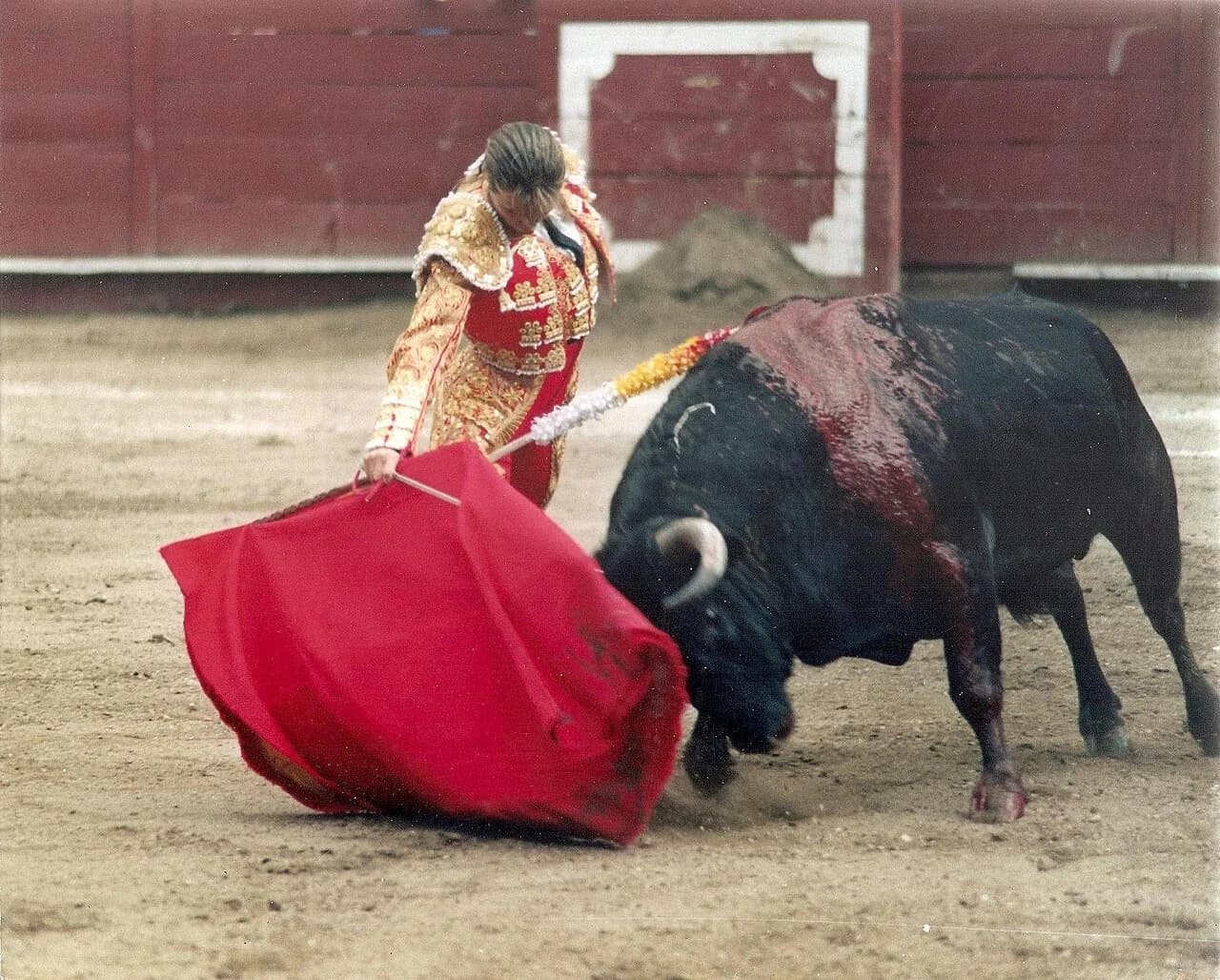 bullfighter