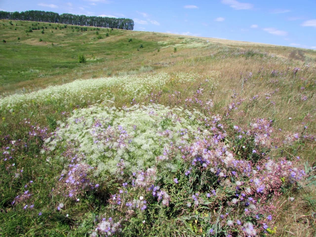 Batyrevsky District