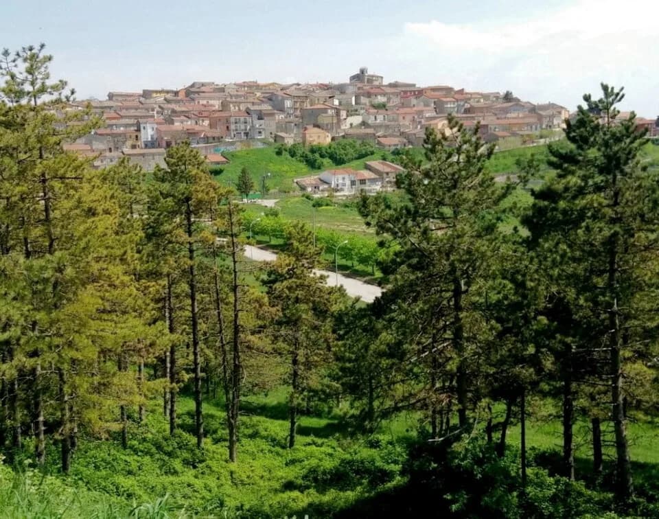 Greci