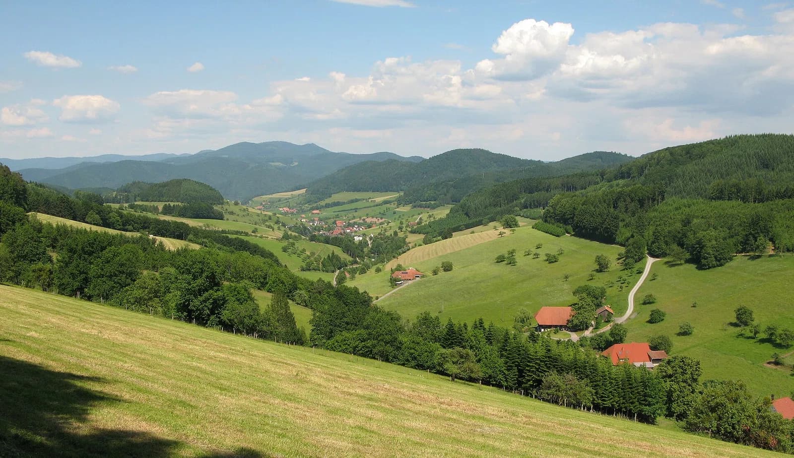Steinach