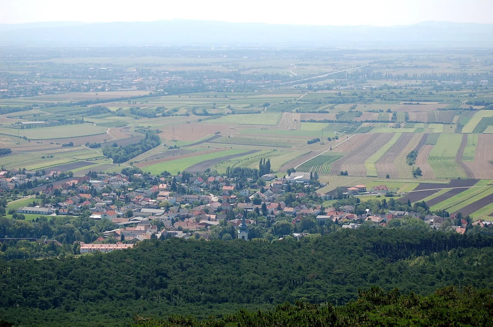 Gainfarn