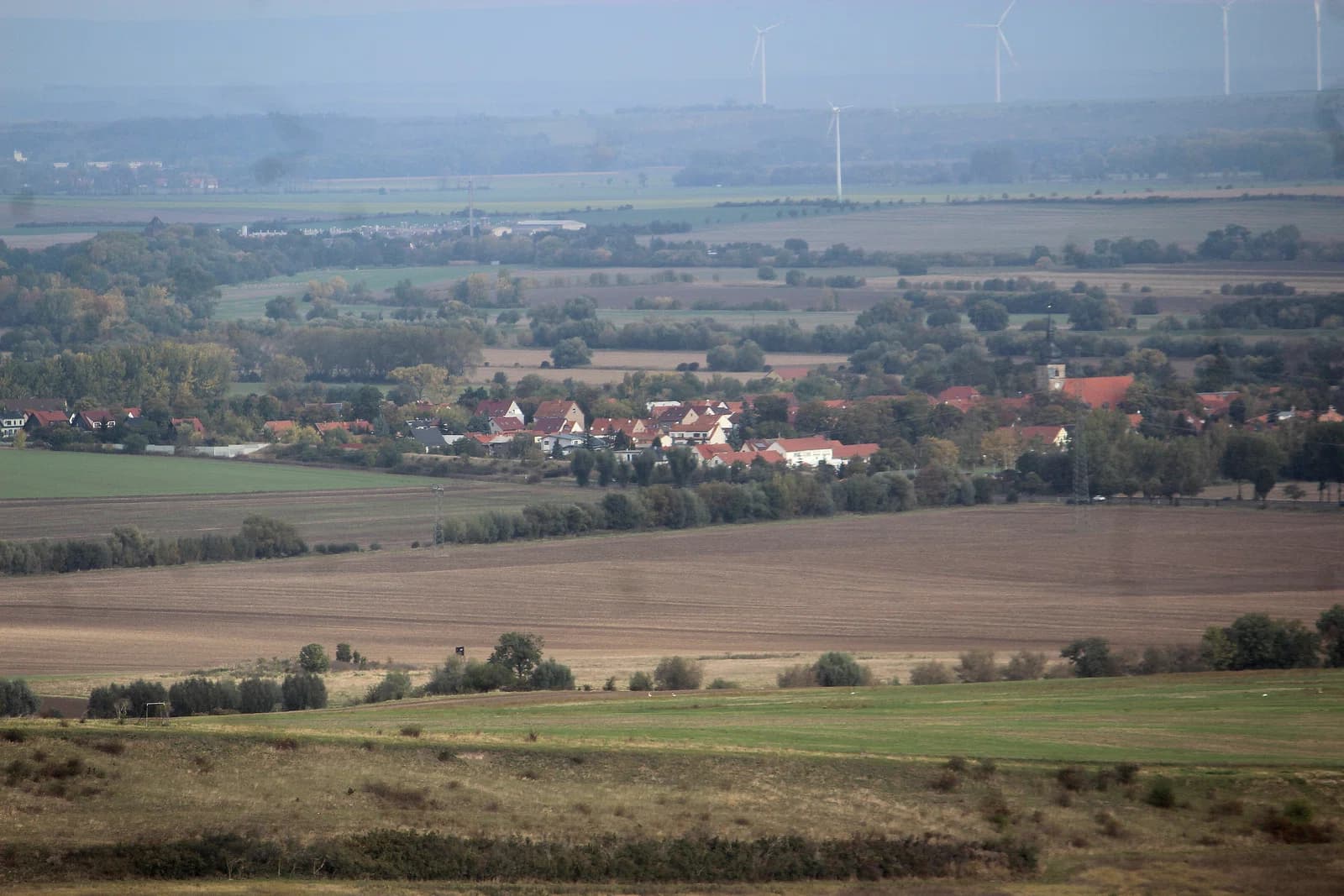 Walschleben