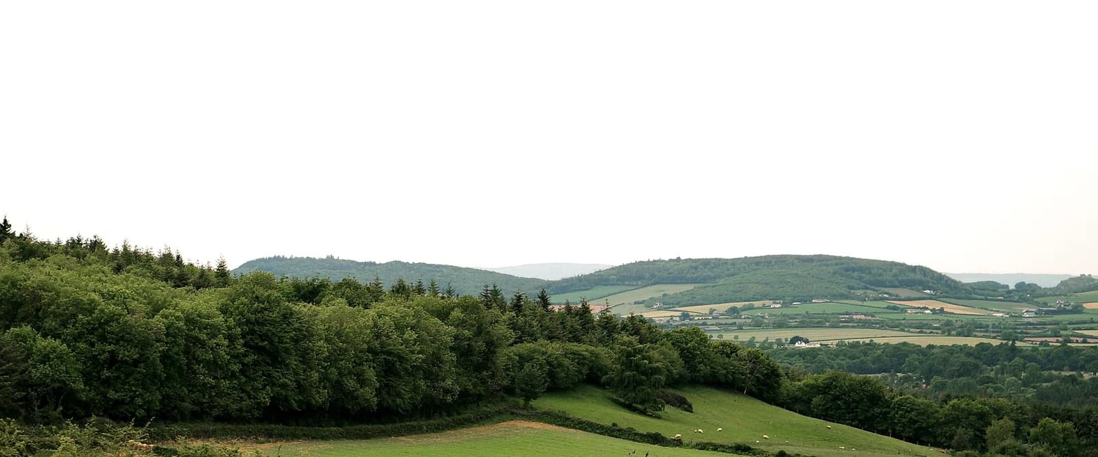 County Laois