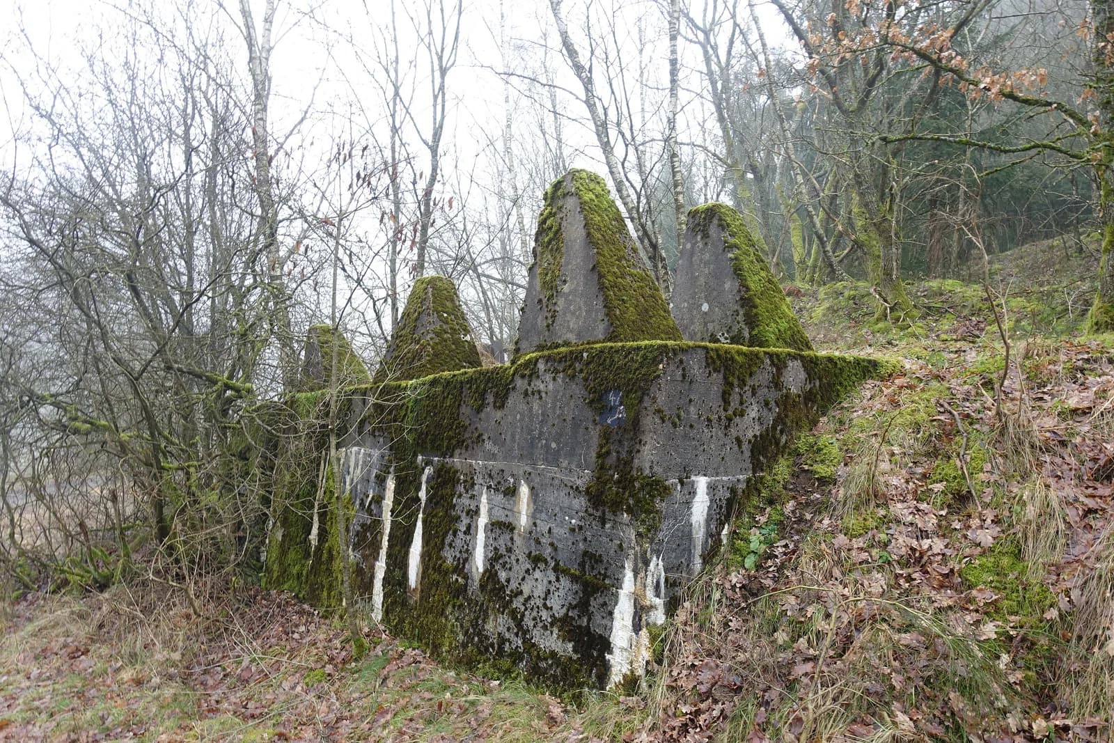 Herzfeld