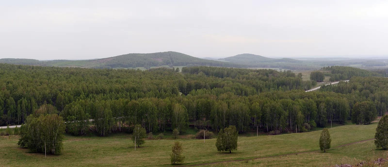 Toguchinsky District