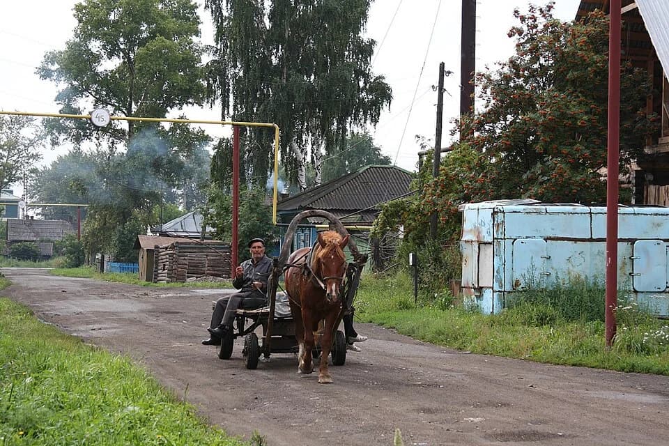 Bolotninsky District