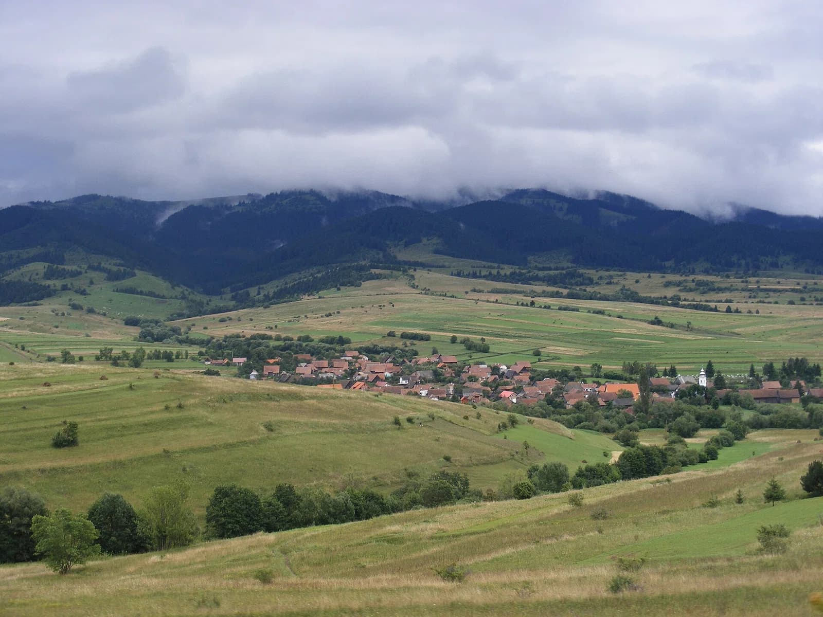 Nădejdea