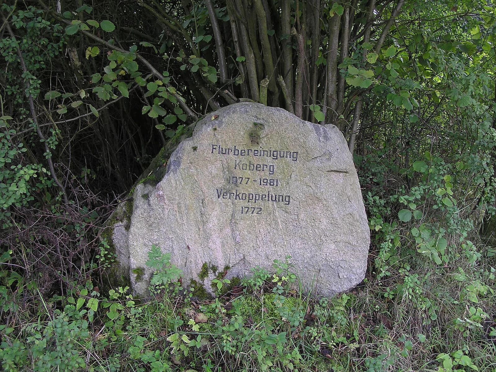 Koberg