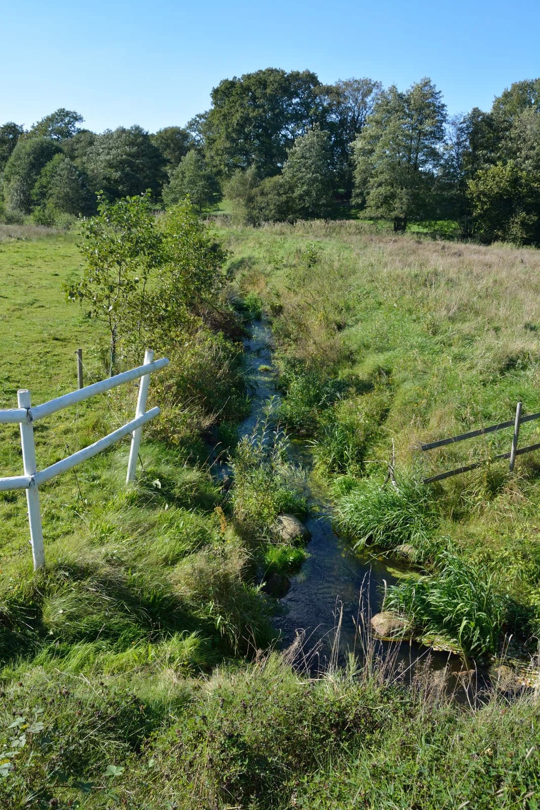 Holstenniendorf