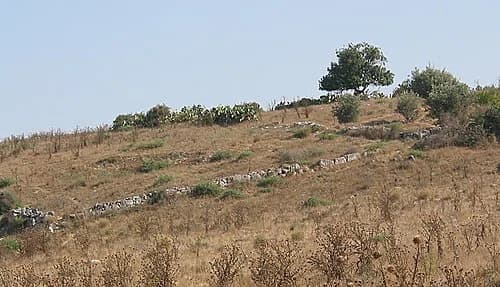 Bayt Jibrin
