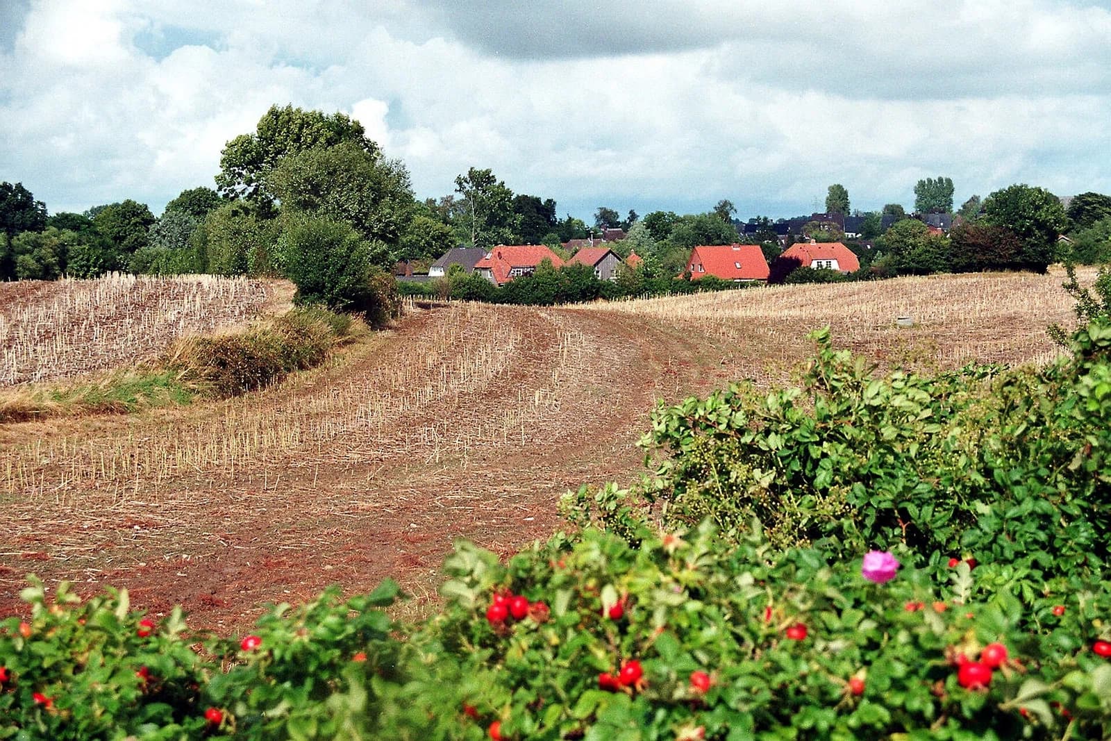 Prasdorf