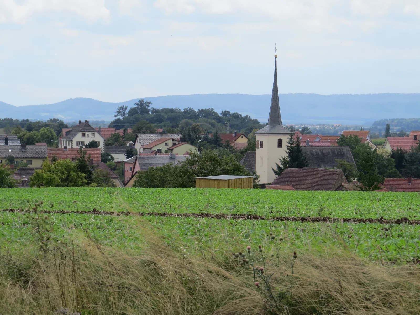 Lülsfeld