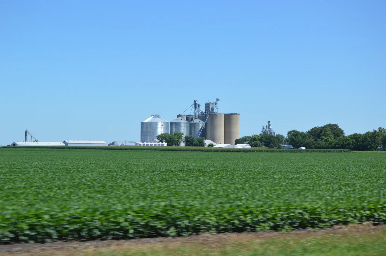 Graymont