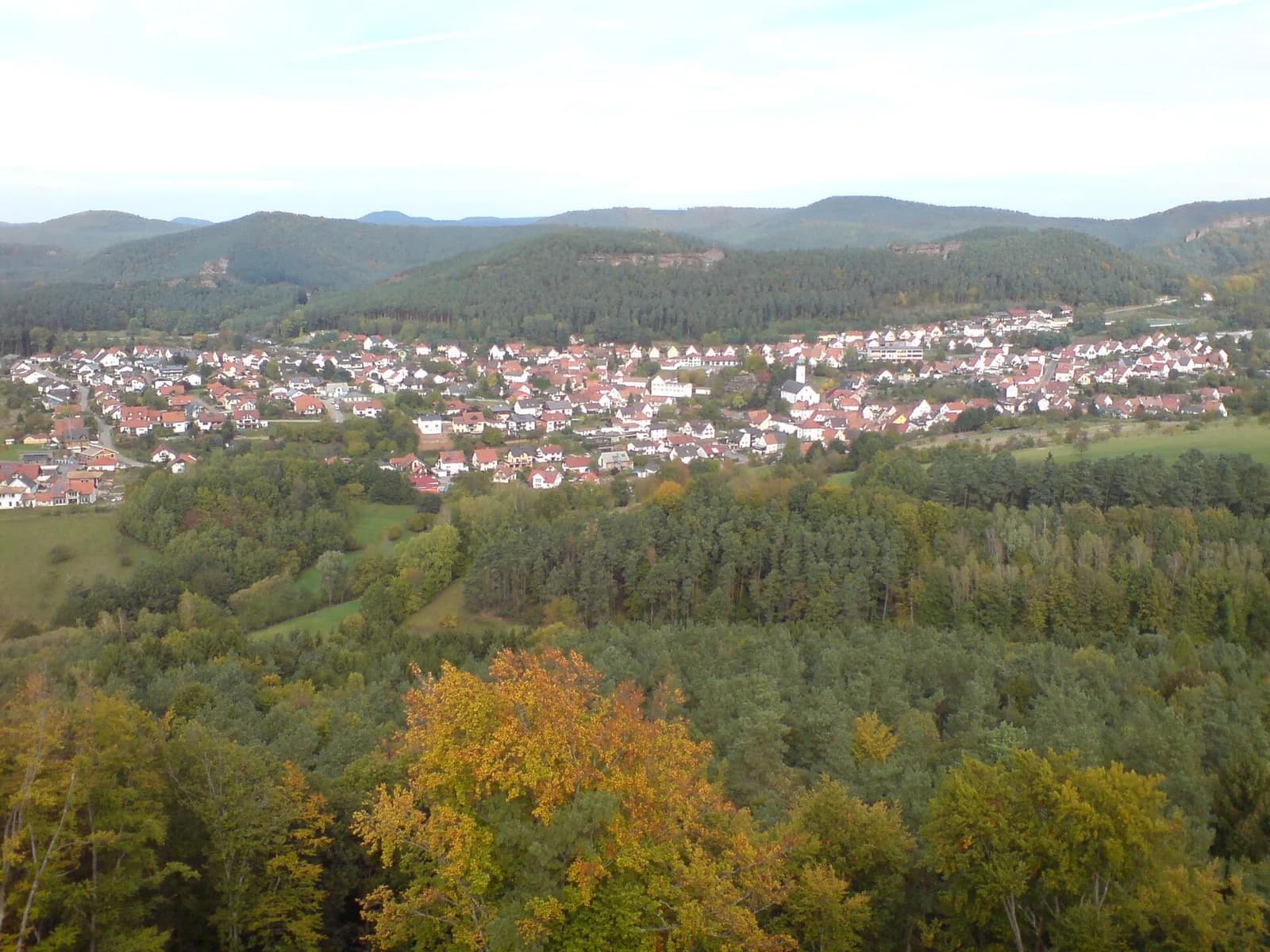 Busenberg