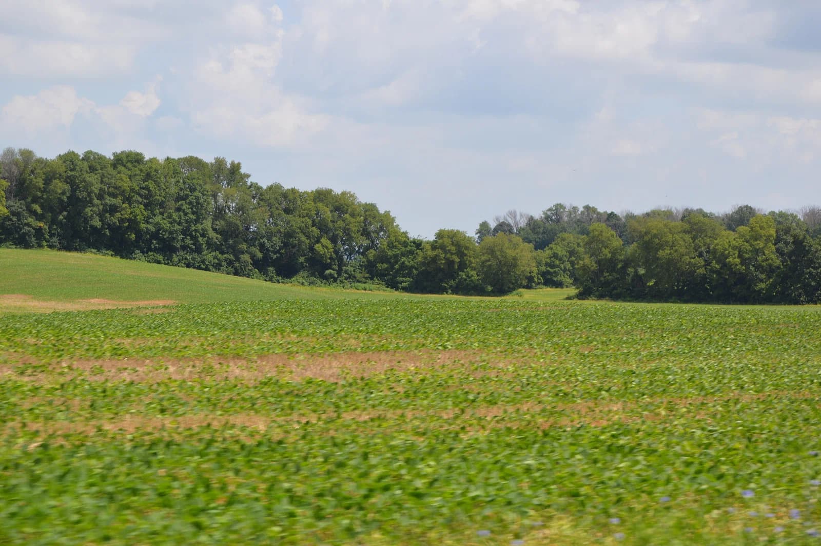 Greenfield Township