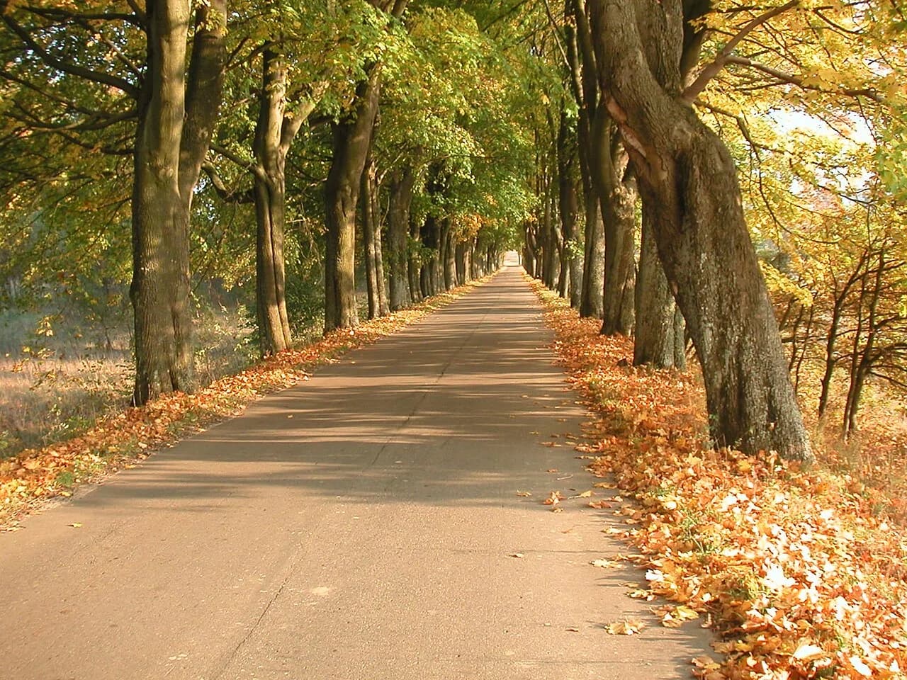 Grądy, West Pomeranian Voivodeship