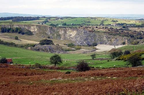 Gwynfryn