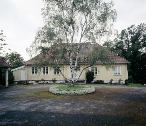 Lille Frøen