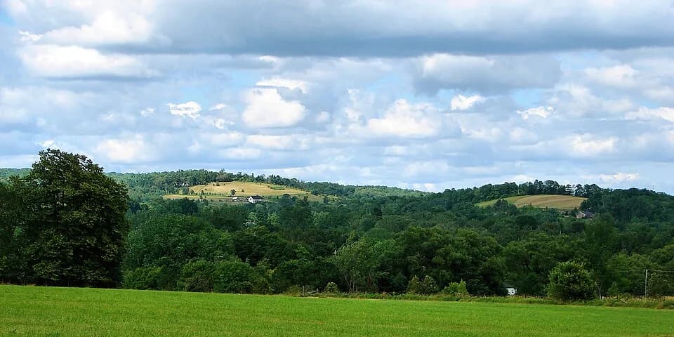 Hamilton Township