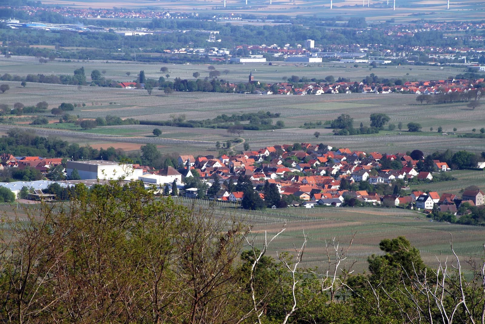 Böchingen