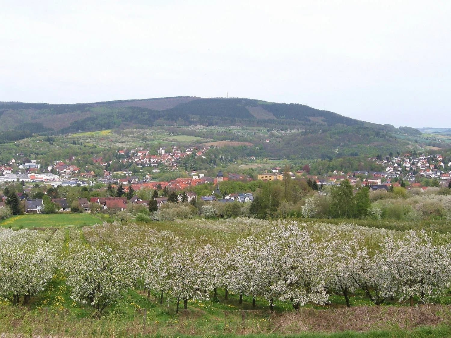 Witzenhausen